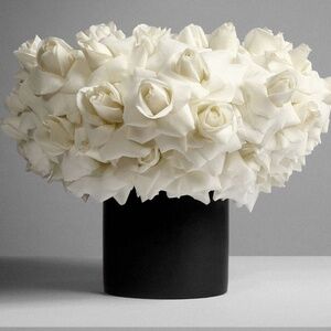 Meet your Posher, Ele